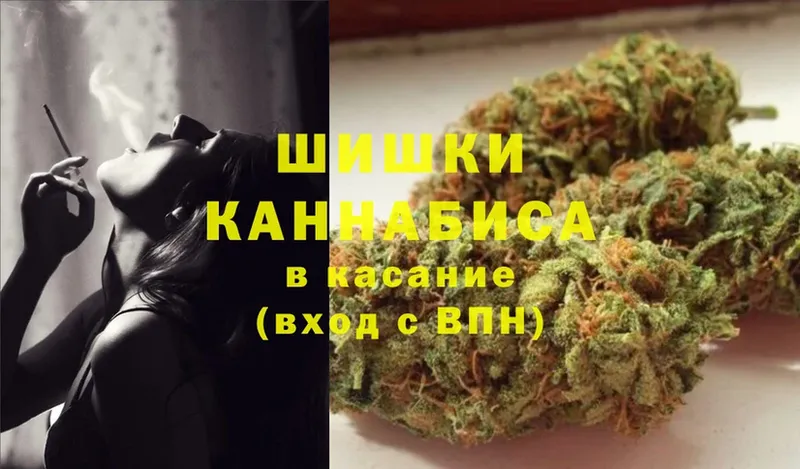 Бошки марихуана SATIVA & INDICA  как найти   Тверь 